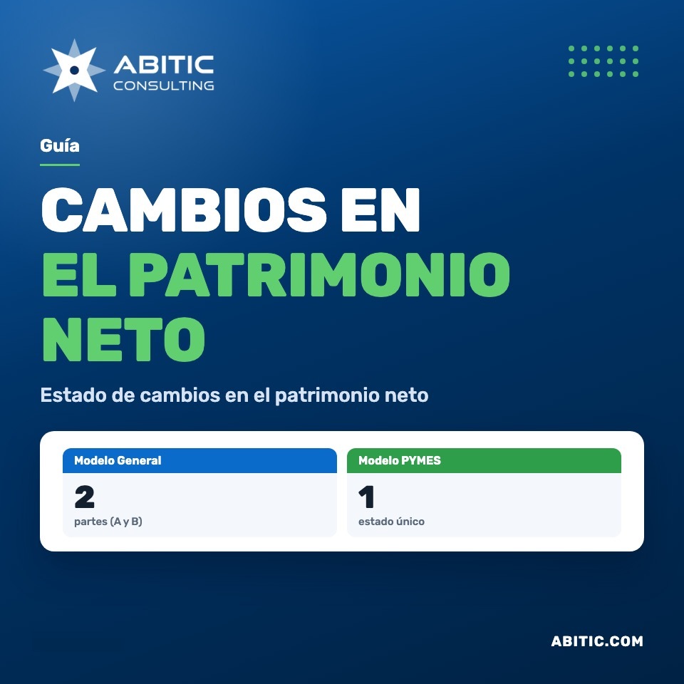 Estado de Cambios en el Patrimonio Neto
